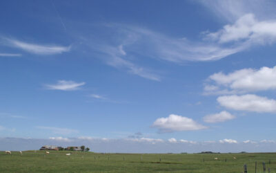 Erkundung einer Hallig: Und dann auf einmal wirklich NICHTS