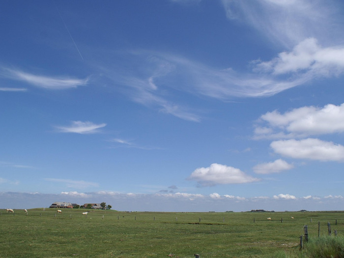 Hallig